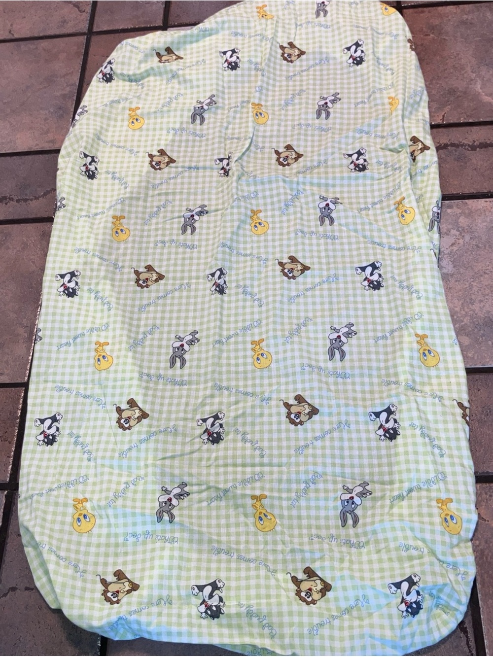 Warner Bros. Baby Looney Tunes Green and White Gingham Sleepwear